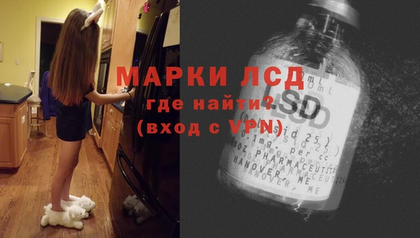 мяу мяу мука Арсеньев