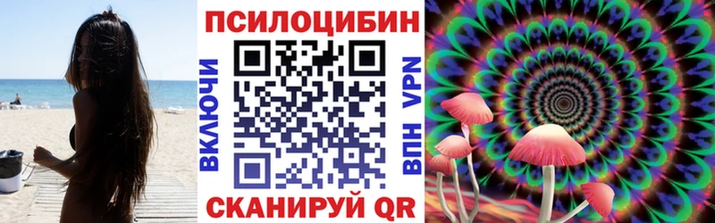 hydra ТОР  Орлов  Галлюциногенные грибы Psilocybe 